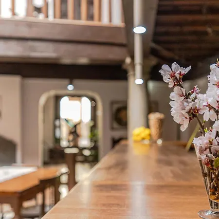 El Secreto Del Olivo Country house