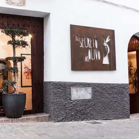 El Secreto Del Olivo