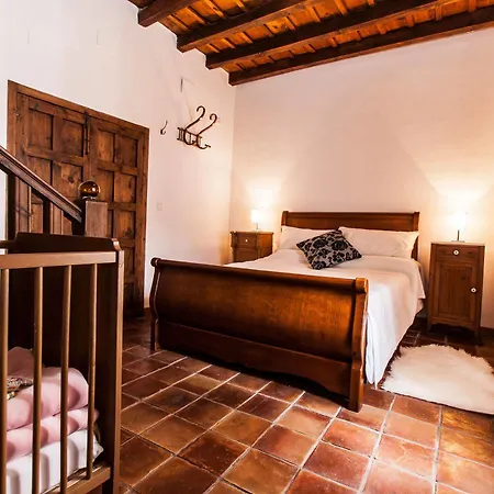 El Secreto Del Olivo Country house Niguelas
